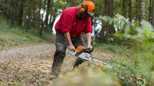 A Volunteer Firewood Ranger uses an electric saw on a fallen tree.